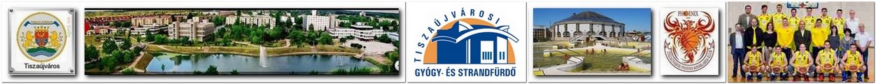 Tiszajvrosi Termlfrd-Phoenix Kosrlabda Klub honlapja